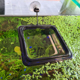 Floating Feeding Circle