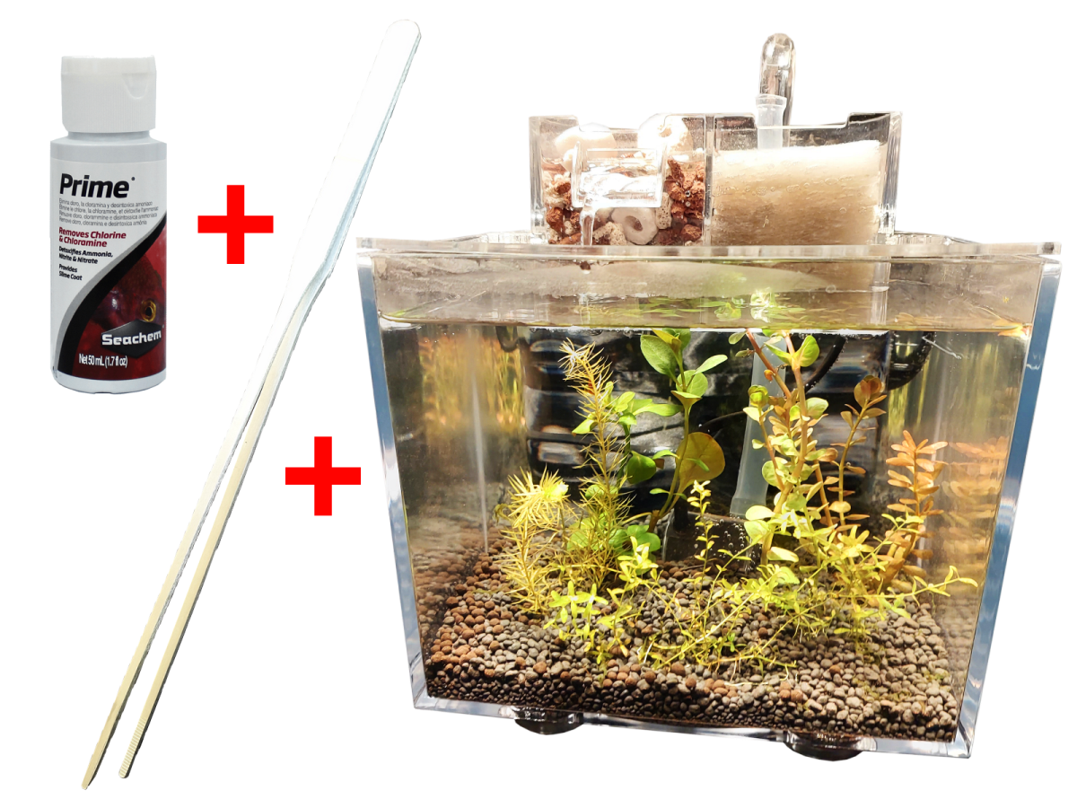 Mini shrimp tank best sale