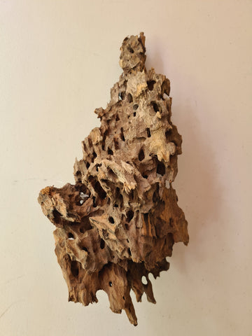 Honeycomb Driftwood (Giant)