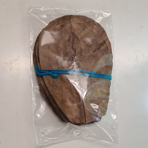 10x Indian Almond Leaves (Small)