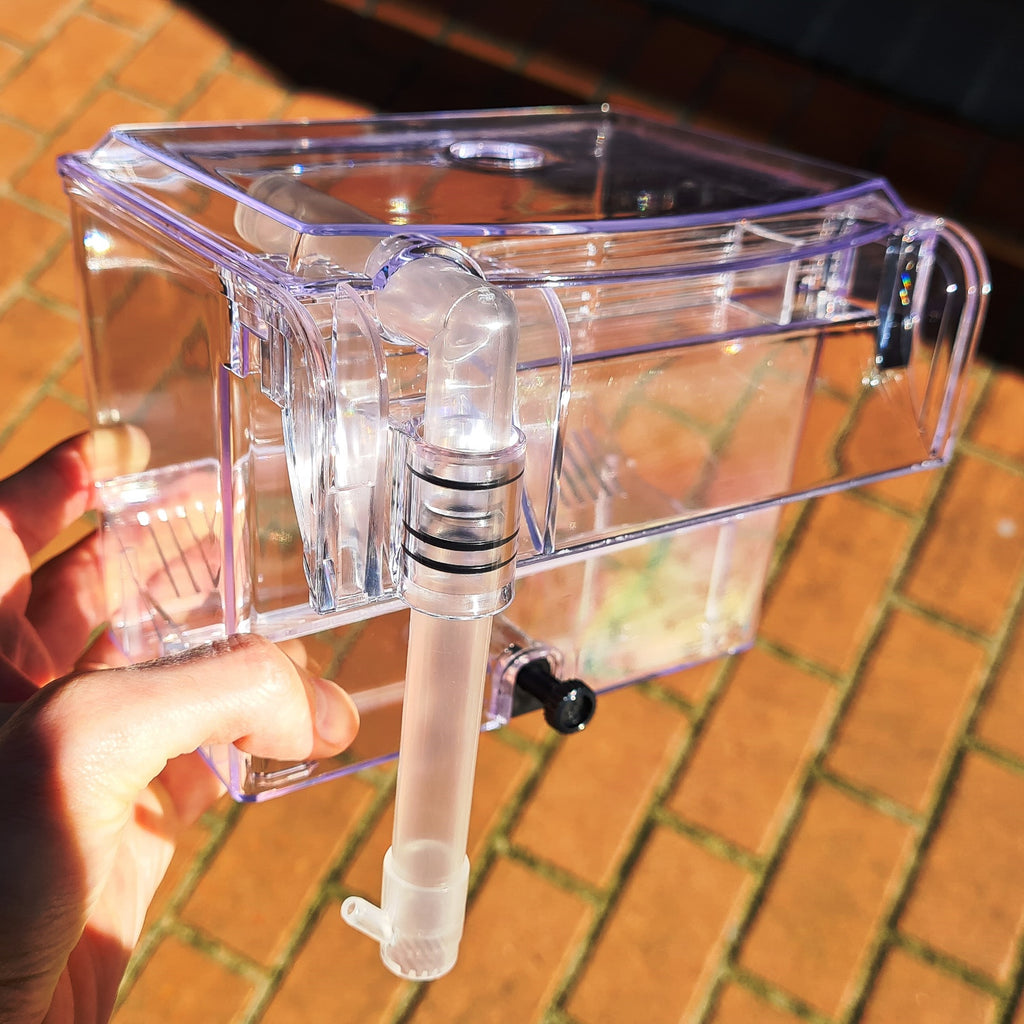 breeding box for tropical fish Breeding Box Large External – Sydney Aquascapes