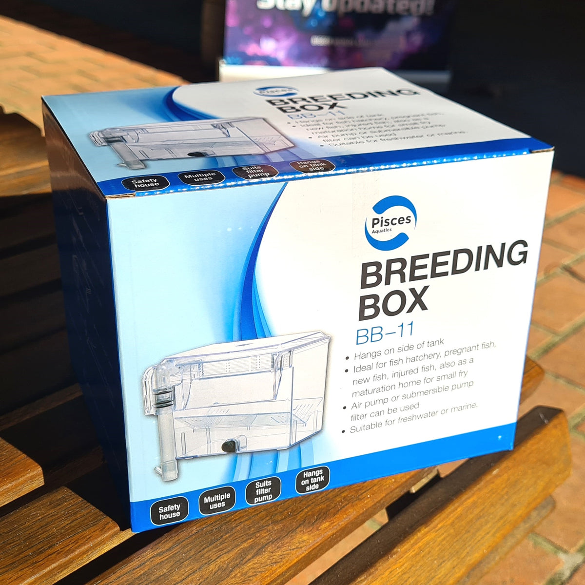 Breeding Box Large External – Sydney Aquascapes