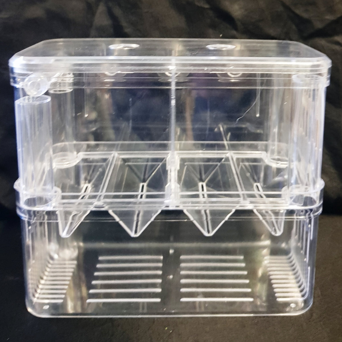 Breeding Tool Box Breeding Box Medium Internal – Sydney Aquascapes