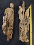 Honeycomb Driftwood (Large)