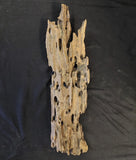 Honeycomb Driftwood (Large)