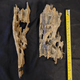 Honeycomb Driftwood (Small)