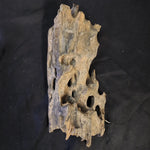 Honeycomb Driftwood (Small)