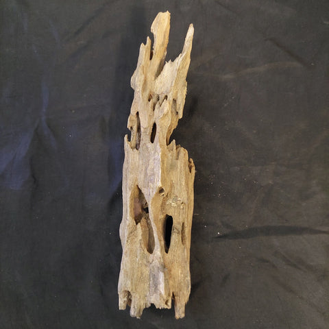 Honeycomb Driftwood (XSmall)