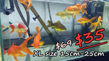 Goldfish - Large Assorted Comets (7cm-30cm)