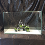 Tank 50x30x27 cm (40L)