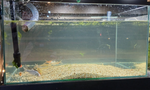 Rectangular Glass Aquarium with hole -90L (61×45×32)