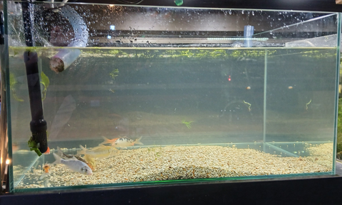 Rectangular Glass Aquarium with hole -90L (61×45×32)