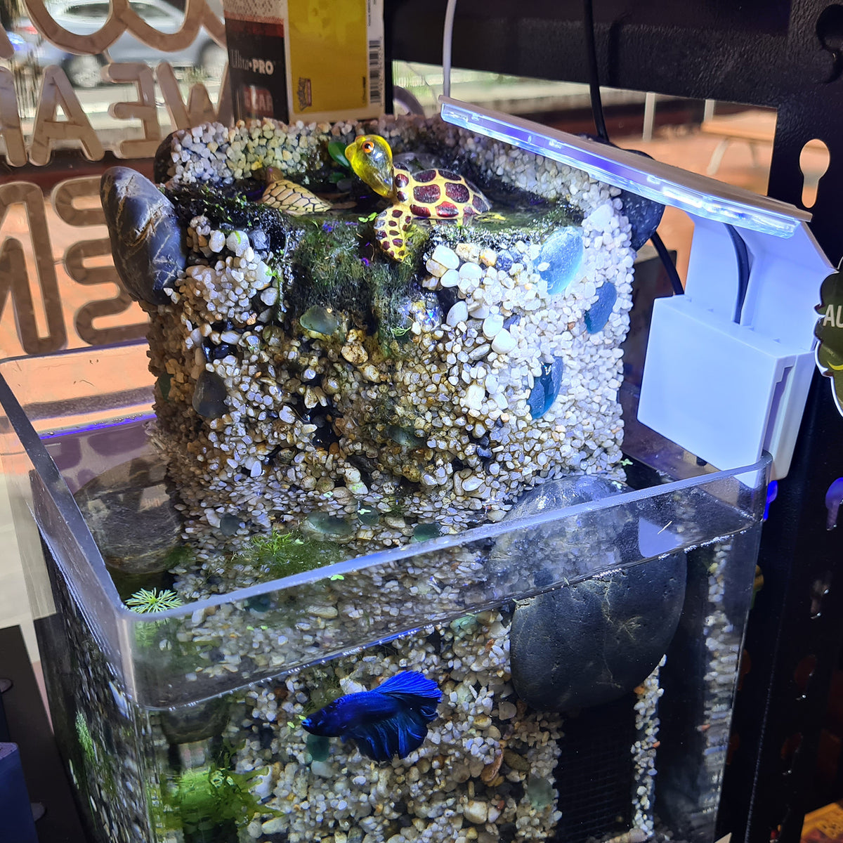 View of LED Aquarium Light Small Wide – Sydney Aquascapes