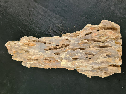 Pine Point Sample Rocks Pine Rock Large – Sydney Aquascapes