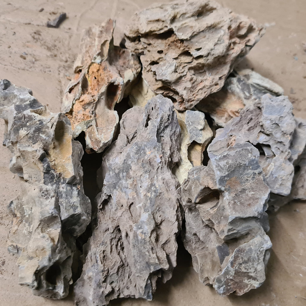 Pine Rock Medium – Sydney Aquascapes