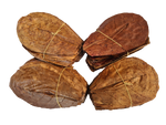 100x Small Indian Almond Leaves
