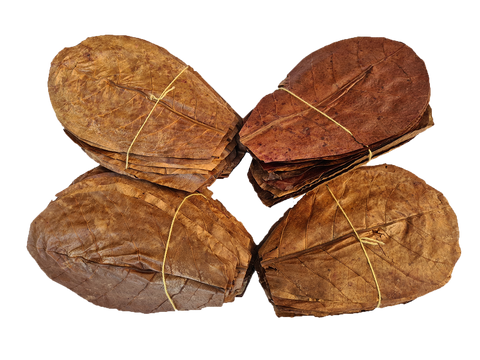 100x Small Indian Almond Leaves