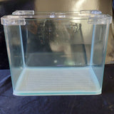 Curved Glass Aquarium 4.4L