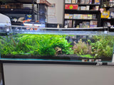 'Low Profile' Glass Aquarium 45L (3ft)(91x21x24)