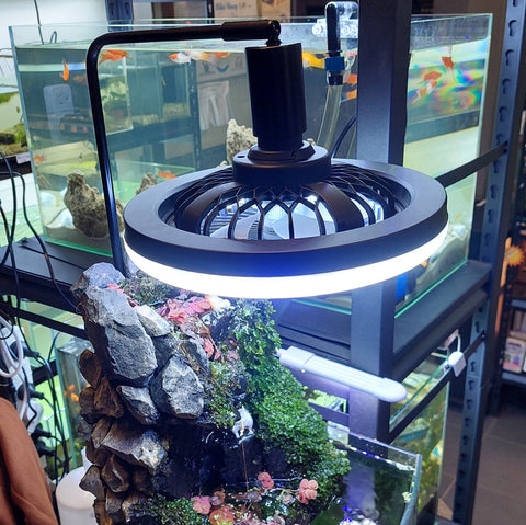 Aquarium Cooling Fan with White and Rainbow Light