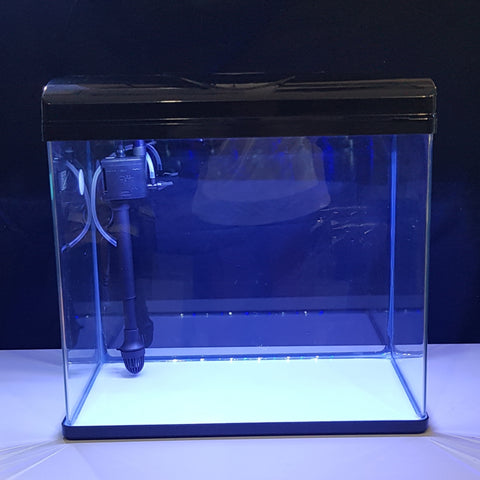 Complete Aquarium
