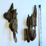 Honeycomb Driftwood (Small)