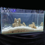 Rectangular Glass Aquarium 70L with lid (70×28×36)