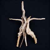 Spider wood - Medium