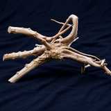 Spider wood - Medium