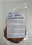 10x Indian Almond Leaves-Consumables-Sydney Aquascapes