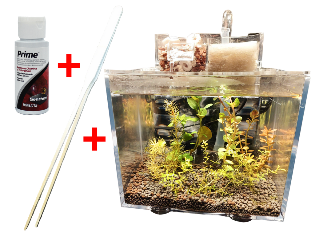 Shrimp tank starter kit best sale