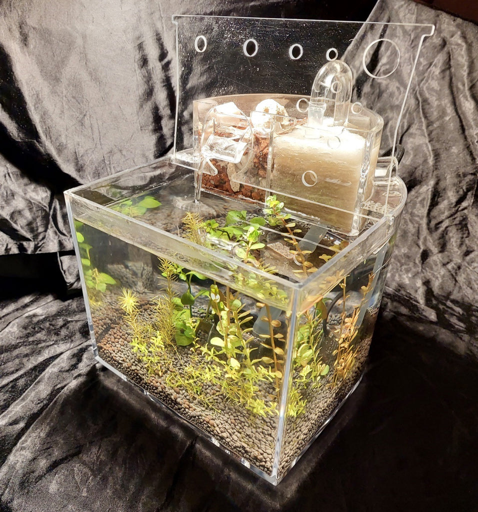 Super Shrimp Tank - Hikari - Complete Aquarium Combo – Sydney Aquascapes